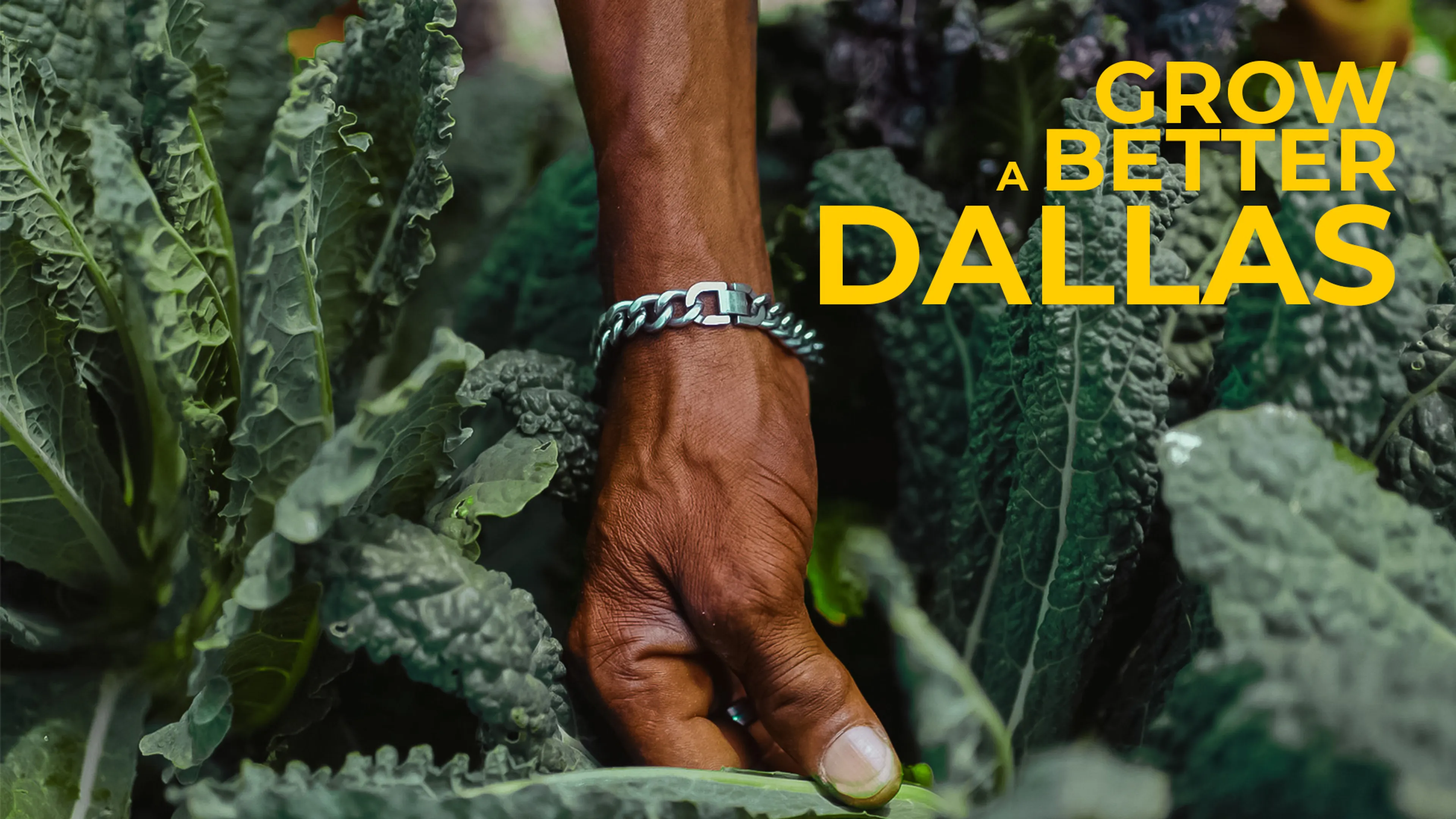 Grow a Better Dallas poster